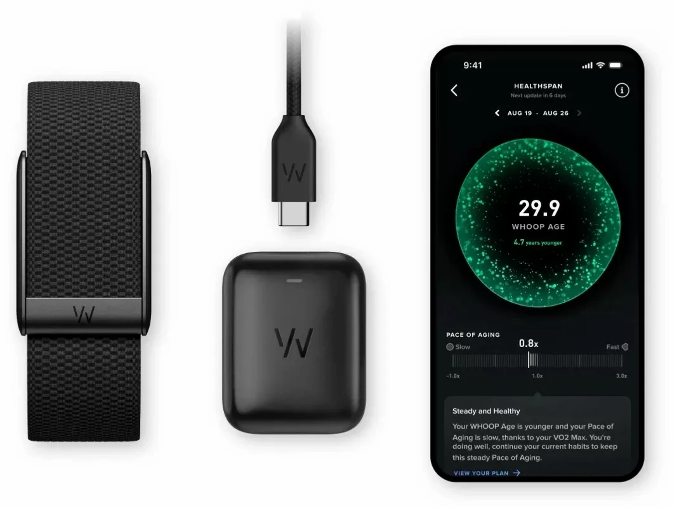 Как привязать фитнес-трекер Whoop к телефону и приложению: полное руководство