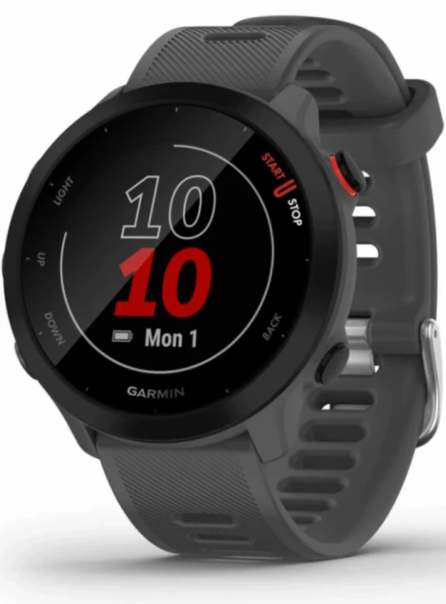 Garmin Forerunner 55 Grey