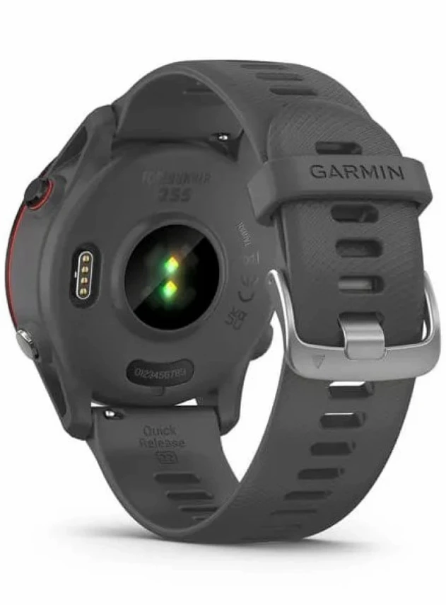 Garmin Forerunner 255 Сланцево-серый/чёрный