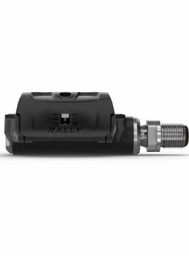 Garmin Rally RS100