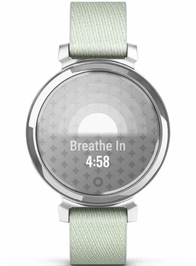 Garmin Lily® 2 Classic Silver with Sage Gray Nylon Band