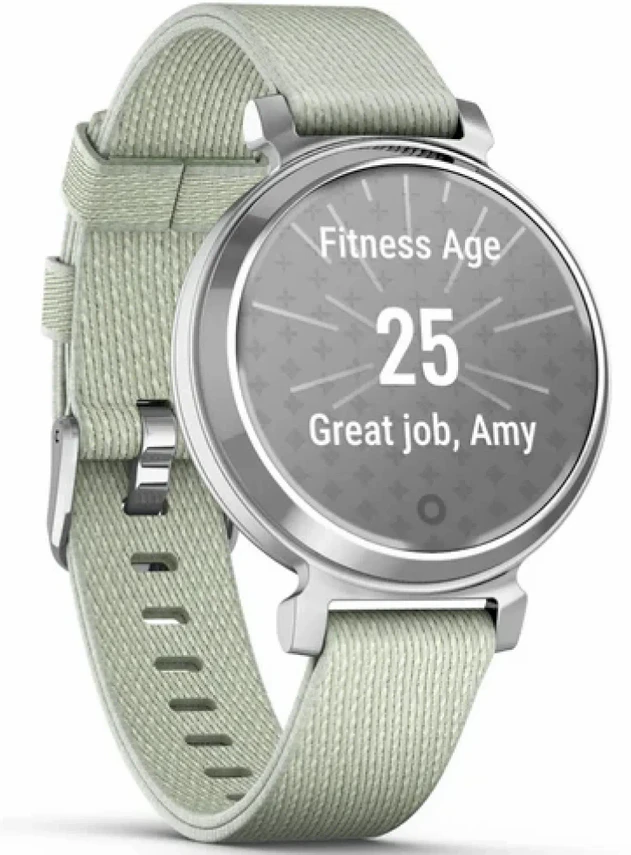 Garmin Lily® 2 Classic Silver with Sage Gray Nylon Band