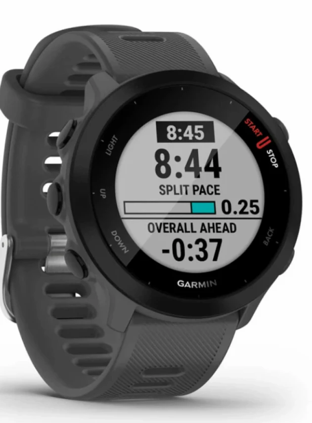 Garmin Forerunner 55 Grey