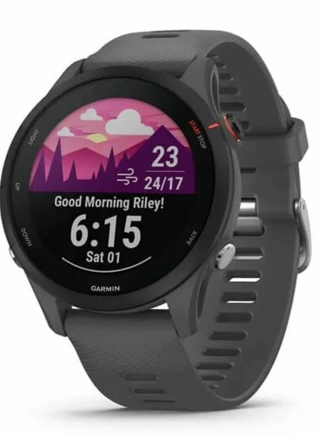 Garmin Forerunner 255 Сланцево-серый/чёрный