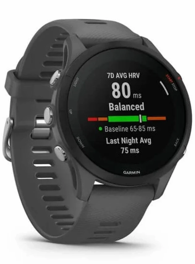 Garmin Forerunner 255 Сланцево-серый/чёрный