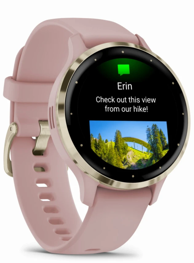 Garmin Venu 3S Soft Gold Stainless Steel Bezel with Dust Rose Case and Silicone Band