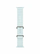 Watch Ultra 2, 49 mm, Natural, Ocean Band, Ice Blue MREI4
